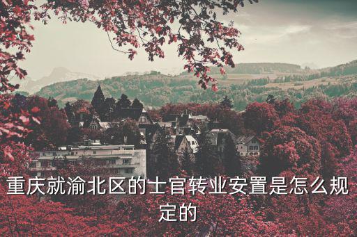 重慶就渝北區(qū)的士官轉(zhuǎn)業(yè)安置是怎么規(guī)定的