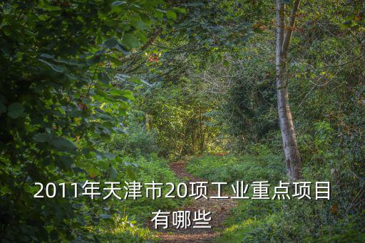 2011年天津市20項工業重點項目有哪些
