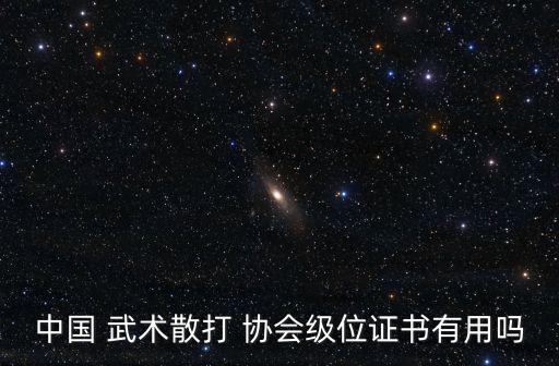 中國 武術散打 協會級位證書有用嗎