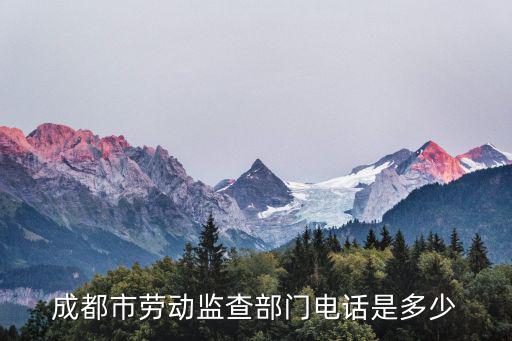 成都市勞動(dòng)監(jiān)查部門電話是多少