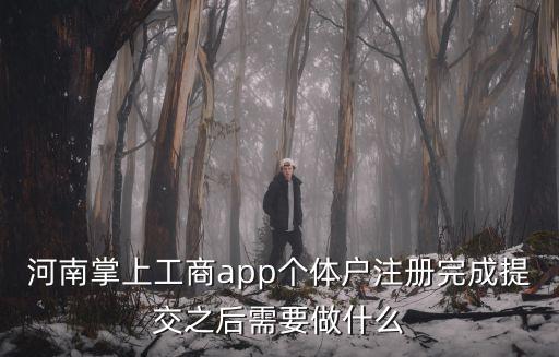 河南掌上工商app個體戶注冊完成提交之后需要做什么