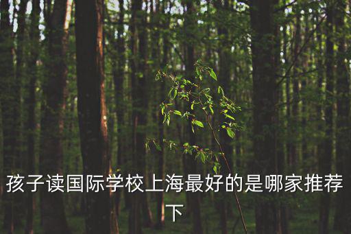 孩子讀國際學校上海最好的是哪家推薦下