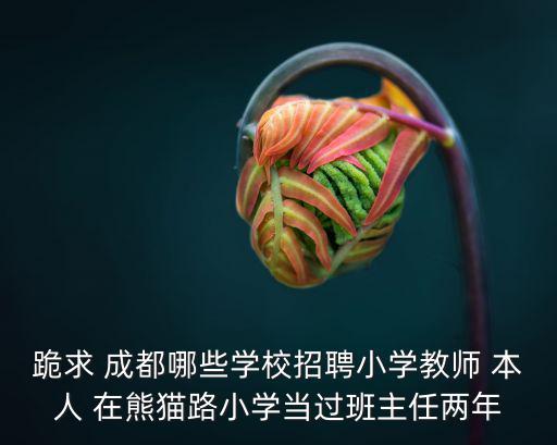 跪求 成都哪些學校招聘小學教師 本人 在熊貓路小學當過班主任兩年