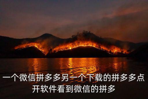 一個(gè)微信拼多多另一個(gè)下載的拼多多點(diǎn)開(kāi)軟件看到微信的拼多