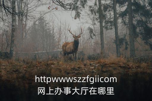 httpwwwszzfgiicom網上辦事大廳在哪里