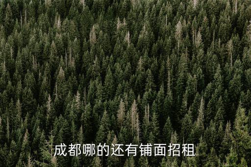 成都市泰恒置業商鋪租賃招標，成都哪的還有鋪面招租