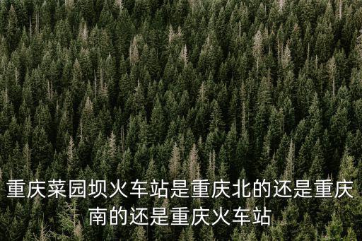 重慶菜園壩火車站是重慶北的還是重慶南的還是重慶火車站