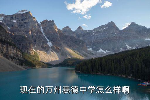 重慶市萬(wàn)州區(qū)塞德國(guó)際學(xué)校，重慶賽德國(guó)際學(xué)校怎么樣