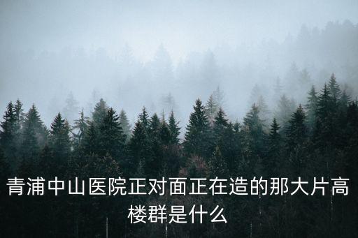 青浦大名城映辰，青浦中山醫院正對面正在造的那大片高樓群是什么