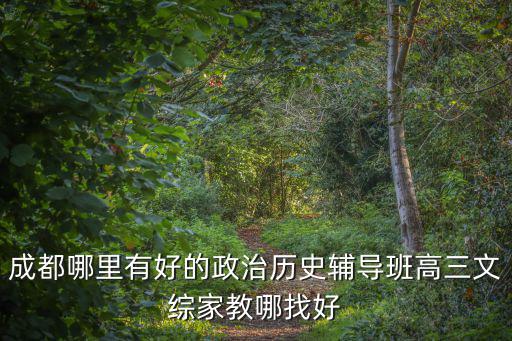成都哪里有好的政治歷史輔導班高三文綜家教哪找好