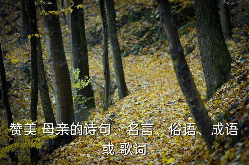 歌頌母親的歌詞,母親節的禮物表達母愛