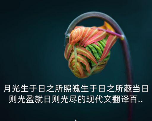 就日,四句成語精選:撥云見日