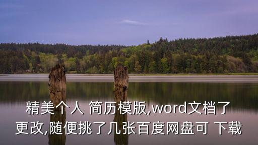 精美個人 簡歷模版,word文檔了更改,隨便挑了幾張百度網盤可 下載