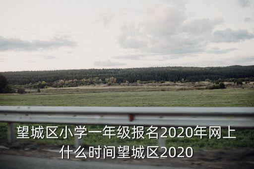 成都市小學入學網上報名2020，在網上給孩子小學報名具體怎樣操作