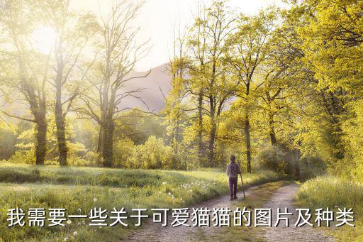 我需要一些關于可愛貓貓的圖片及種類