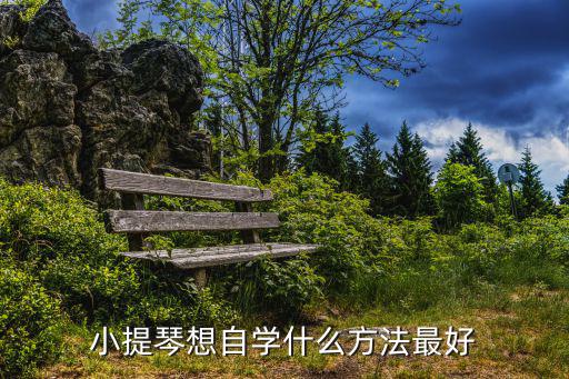 小提琴自學，如何自學小提琴