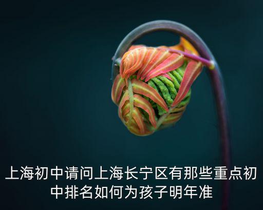 上海初中請問上海長寧區有那些重點初中排名如何為孩子明年準