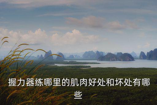  握力器練哪里的肌肉好處和壞處有哪些