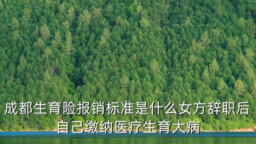 成都生育險報銷標準是什么女方辭職后自己繳納醫療生育大病