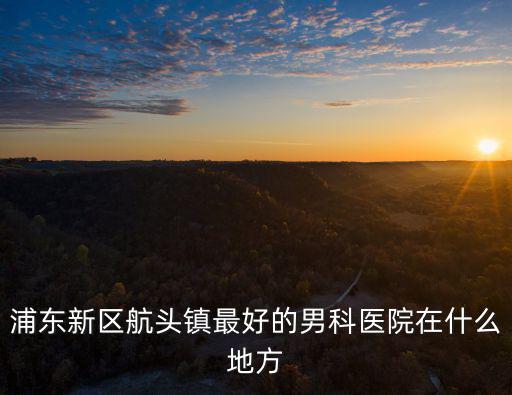 上海浦東航頭樓盤，浦東航頭現在的房價是多少錢一個平方