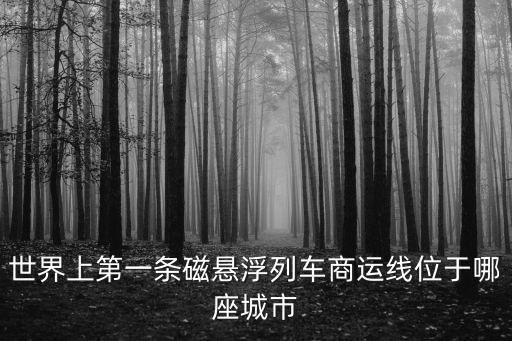 世界上第一條磁懸浮列車商運線位于哪座城市
