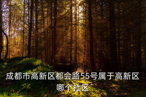 成都市高新區(qū)都會路55號屬于高新區(qū)哪個社區(qū)
