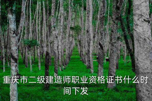 重慶市二級(jí)建造師職業(yè)資格證書(shū)什么時(shí)間下發(fā)