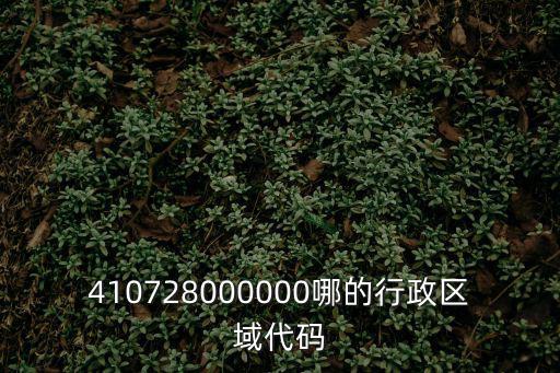重慶市云陽(yáng)縣出生地行政區(qū)劃代碼，410728000000哪的行政區(qū)域代碼