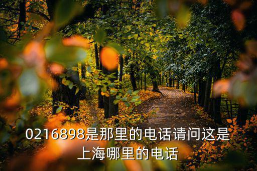 0216898是那里的電話請問這是上海哪里的電話
