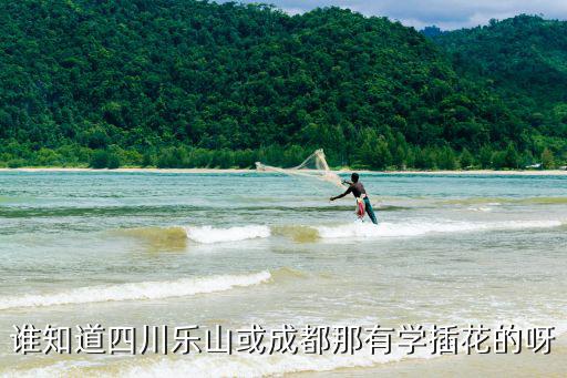成都市插花協會，想創建學校的盆景插花協會大家幫忙寫下申請書內容具體些