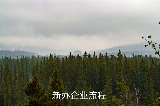 新辦企業流程