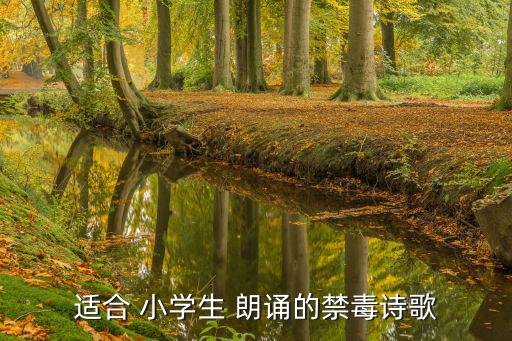 小學生朗誦,禁毒知識童謠:只要你嘗了就絕不會停