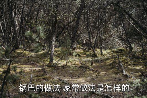  鍋巴的做法 家常做法是怎樣的