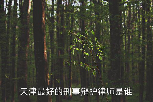 天津最大的刑事律師事務所是哪家，天津最好的刑事辯護律師是誰
