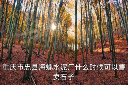 重慶市忠縣海螺水泥廠什么時候可以售賣石子