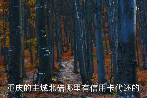 重慶的主城北碚哪里有信用卡代還的