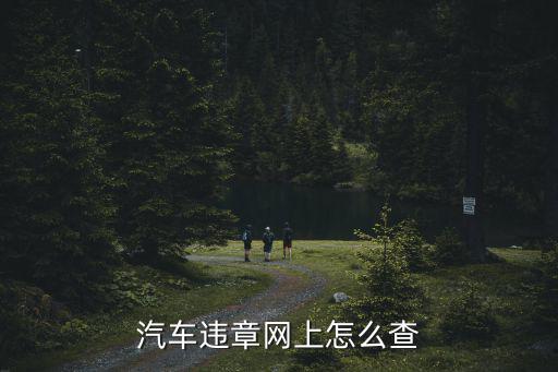 汽車違章網上怎么查