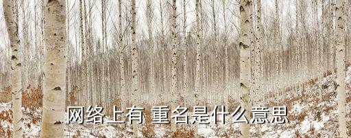 網絡上有重名,網上有重名可以改到別人沒用的ip