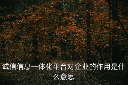 誠信信息一體化平臺對企業(yè)的作用是什么意思