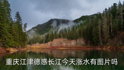 重慶江津德感長江今天漲水有圖片嗎