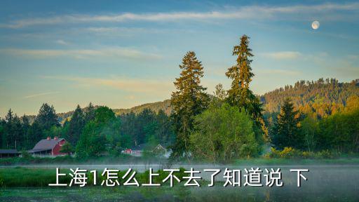 上海1怎么上不去了知道說 下