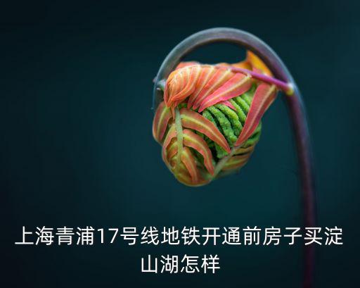 上海青浦17號(hào)線(xiàn)地鐵開(kāi)通前房子買(mǎi)淀山湖怎樣