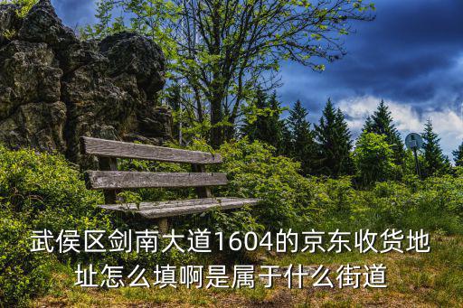 武侯區(qū)劍南大道1604的京東收貨地址怎么填啊是屬于什么街道