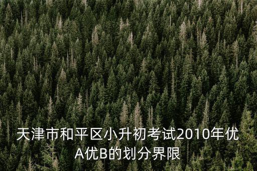 天津市和平區小升初考試2010年優A優B的劃分界限