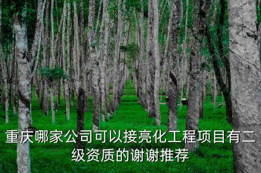 重慶哪家公司可以接亮化工程項目有二級資質的謝謝推薦