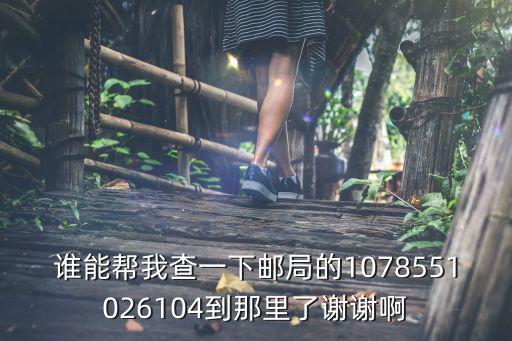 誰能幫我查一下郵局的1078551026104到那里了謝謝啊