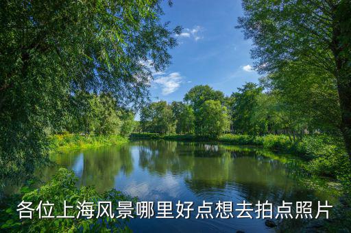 各位上海風景哪里好點想去拍點照片