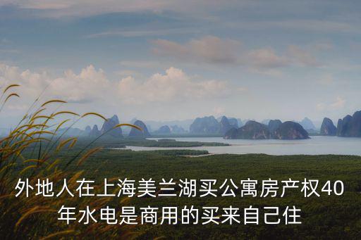 外地人在上海美蘭湖買公寓房產權40年水電是商用的買來自己住