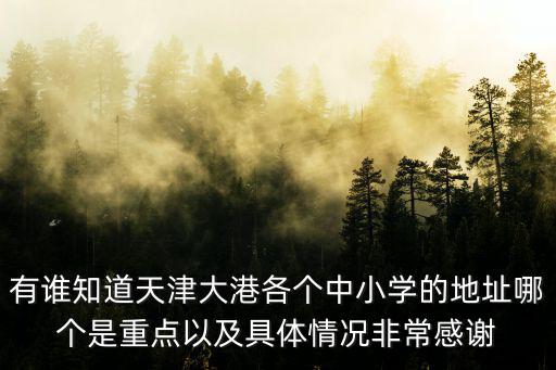 有誰知道天津大港各個(gè)中小學(xué)的地址哪個(gè)是重點(diǎn)以及具體情況非常感謝