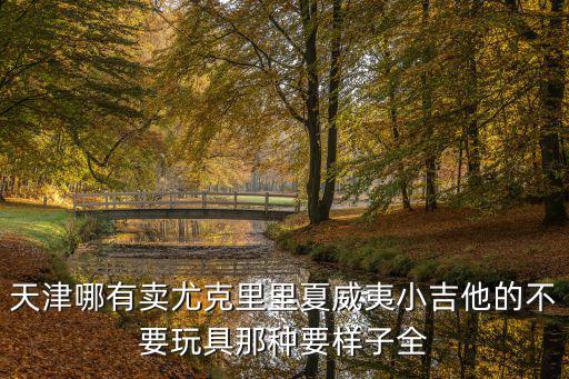 天津哪有賣尤克里里夏威夷小吉他的不要玩具那種要樣子全